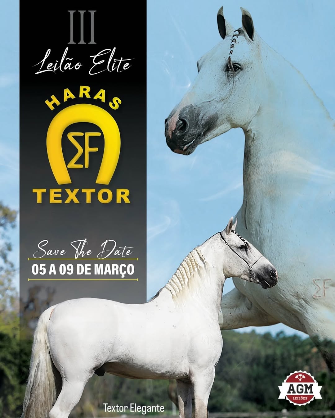 LEILÃO ELITE 2025 Haras Textor