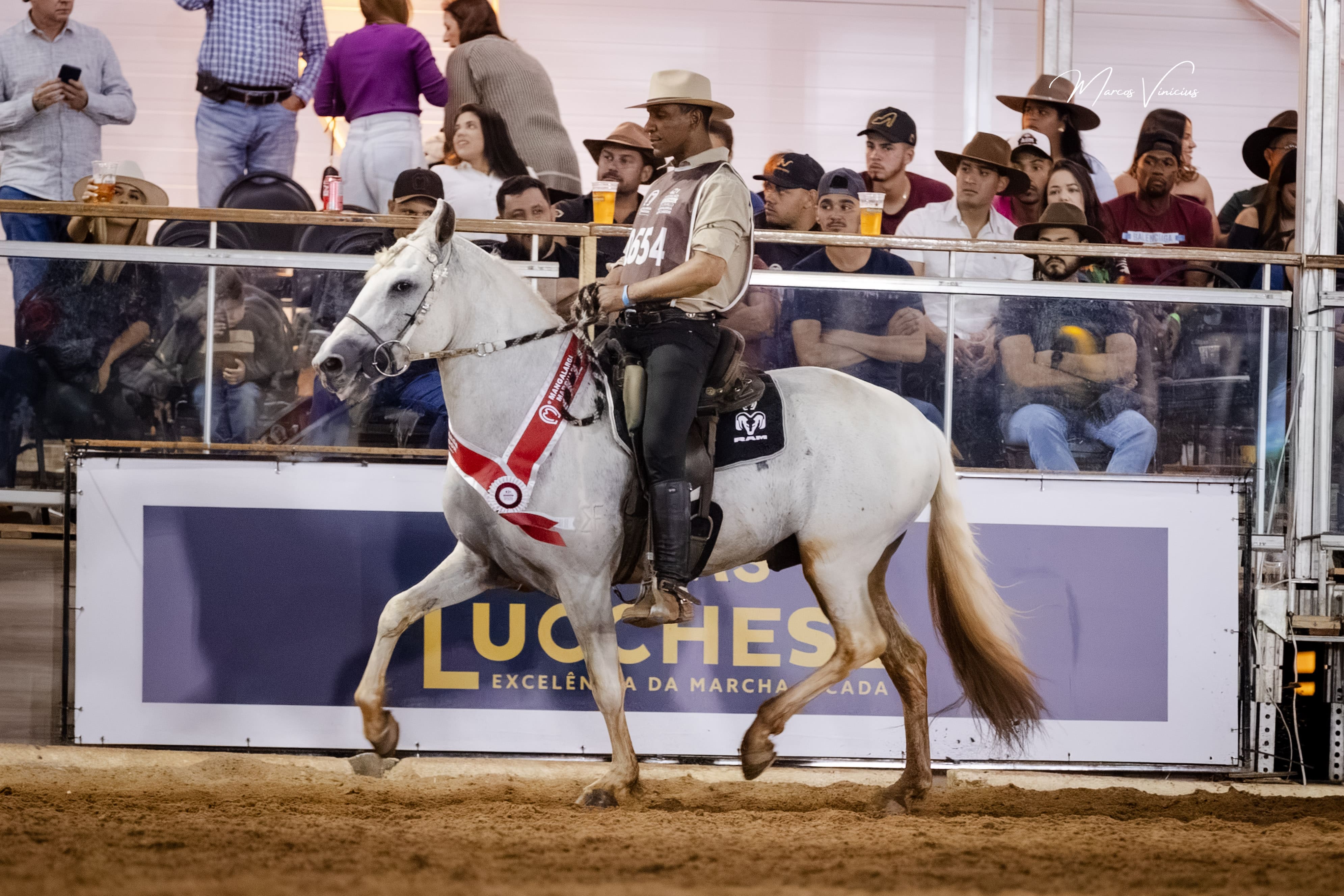 TEXTOR JANGO 🏆 Res. Campeão Nacional de Marcha Cavalo Maior 2025 🏆 Res. Campeão Nacional Cavalo Maior 2025