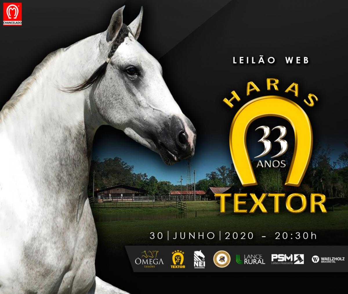 Leilão WEB ELITE - 33 anos Haras Textor