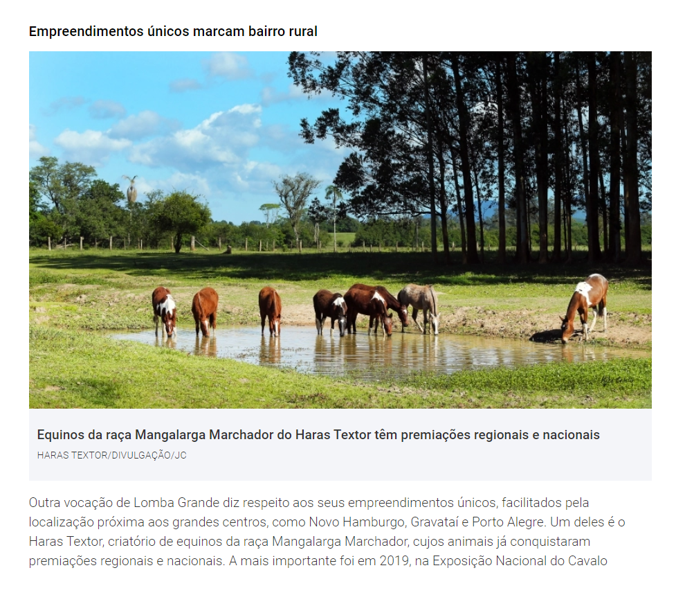 Reportagem JORNAL DO COMÉRCIO | Haras Textor é destaque na criação de Equinos