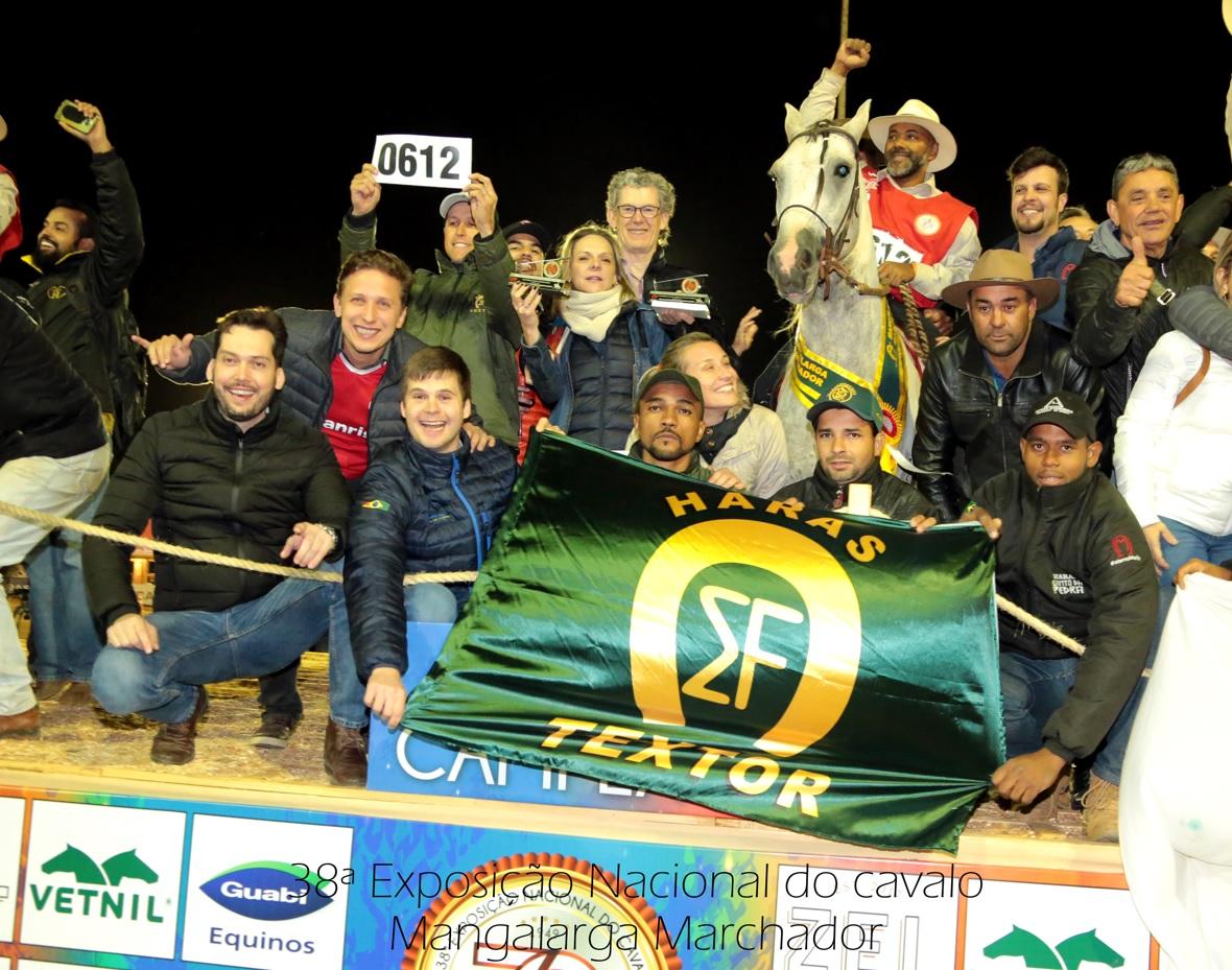 TEXTOR ELEGANTE 🏆 Campeão de Marcha e Categoria Cavalo Jovem Maior Nacional 2019